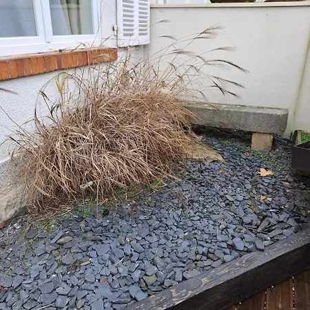 Bel Grande Terrasse Avec Parking A Διαμέρισμα