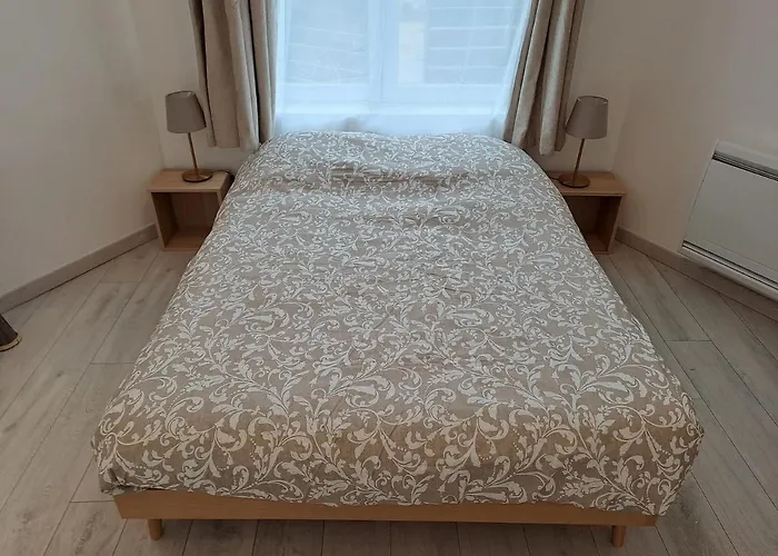 Bel Grande Terrasse Avec Parking A * Dijon